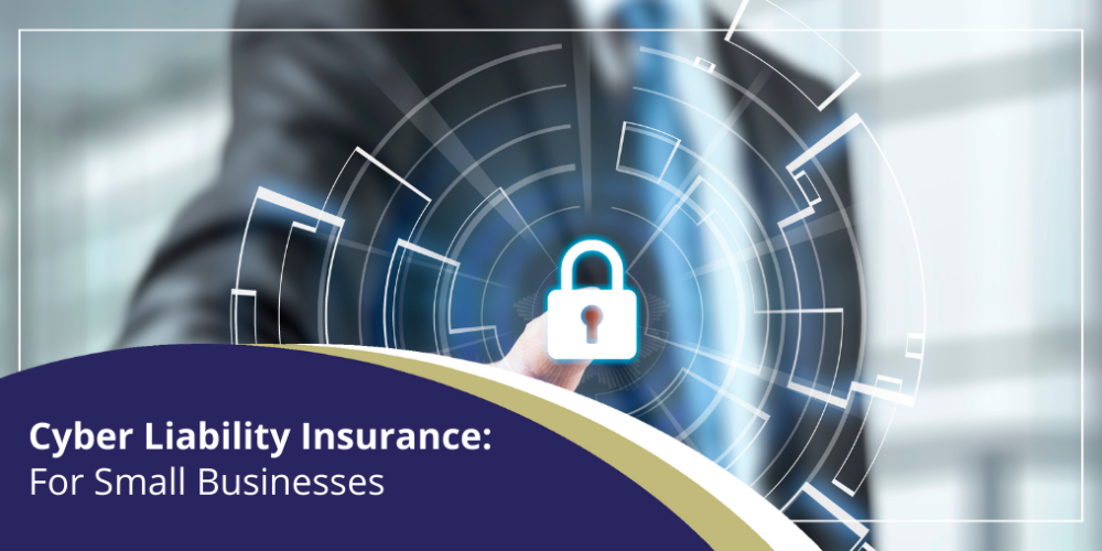 Cyber Insurance Blog Graphic (1)