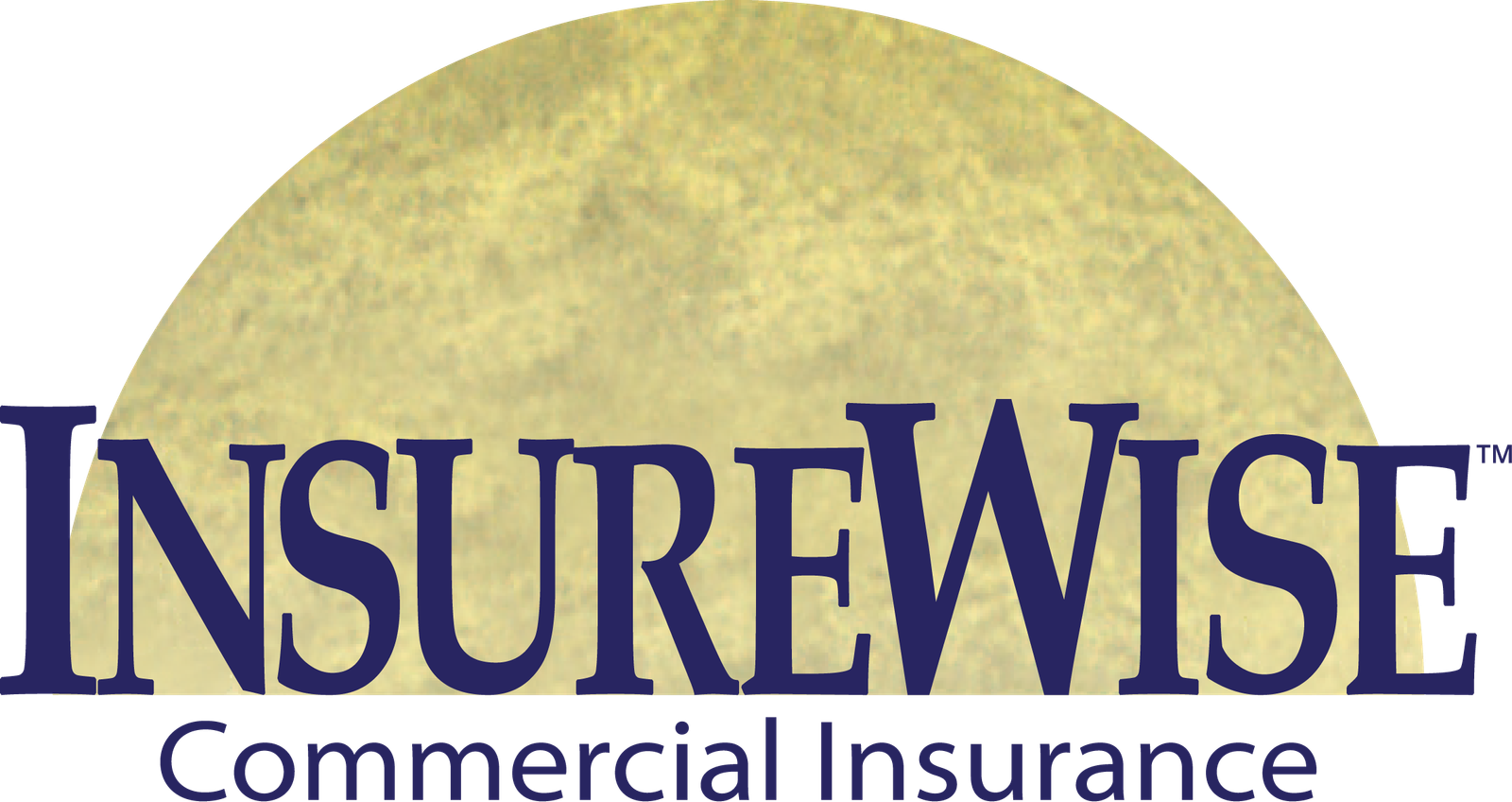 InsureWise