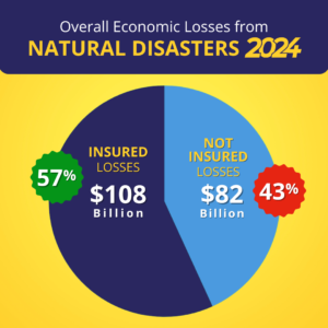 Pie Chart Insurance Losses